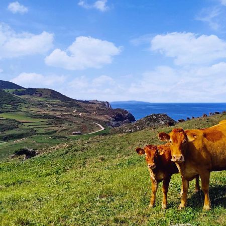 Apartmán Piso El Prau Suances Exteriér fotografie