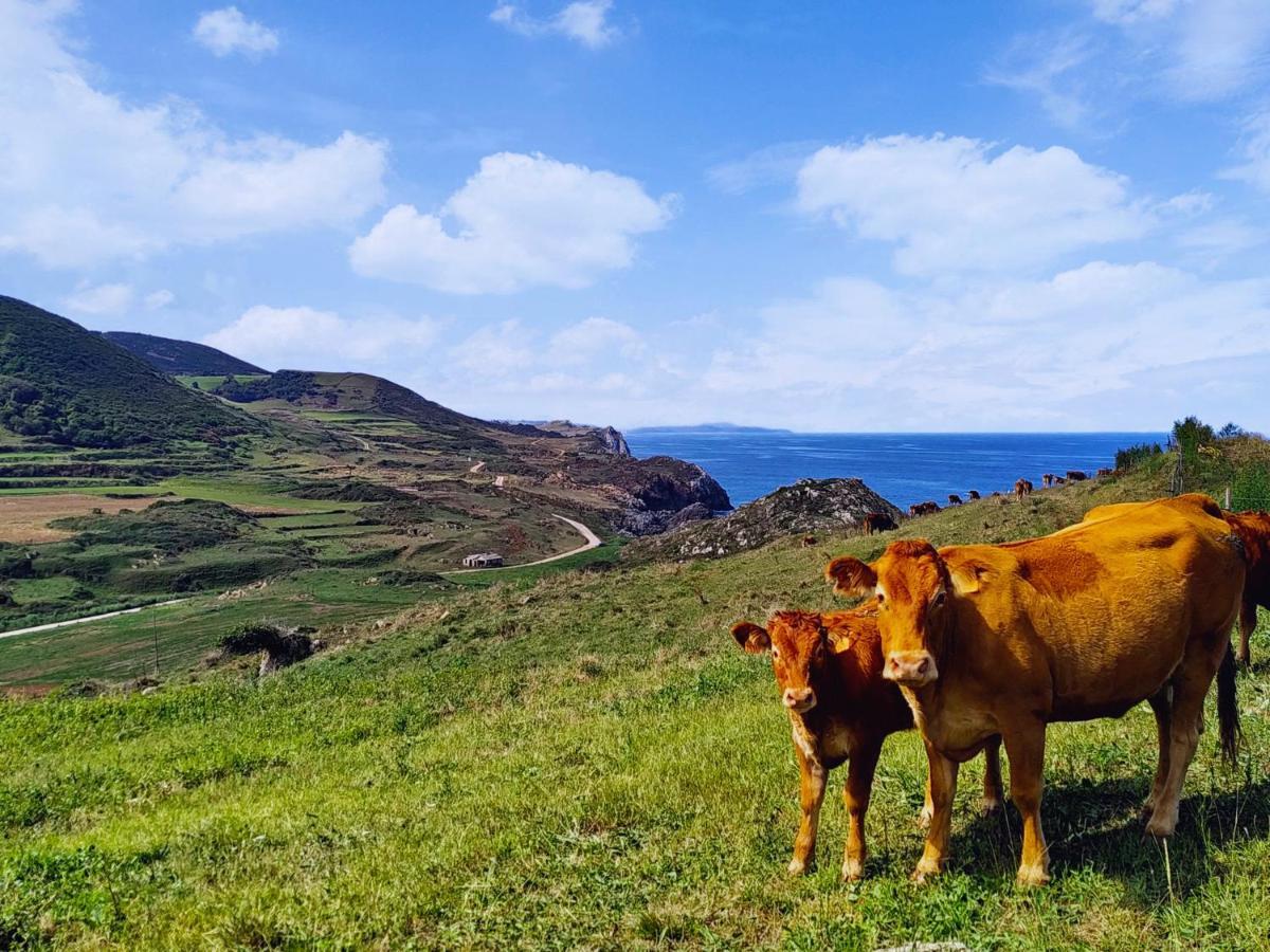 Apartmán Piso El Prau Suances Exteriér fotografie
